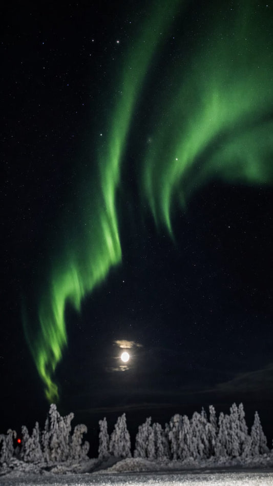 Lapland – 4-daags winteravontuur | Rendieren, Husky's | Noorderlicht | Digitaal stappenplan